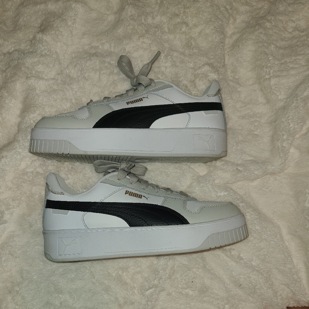 Puma Carina Street
